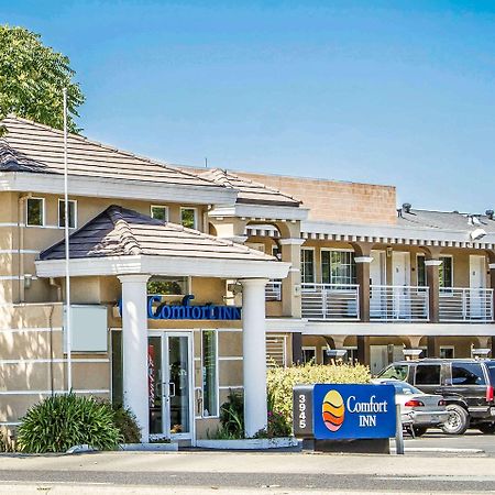 Comfort Inn Palo Alto  Kültér fotó